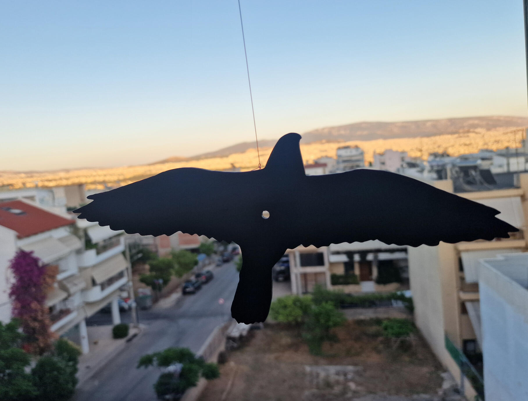 Απωθητικό πουλιών